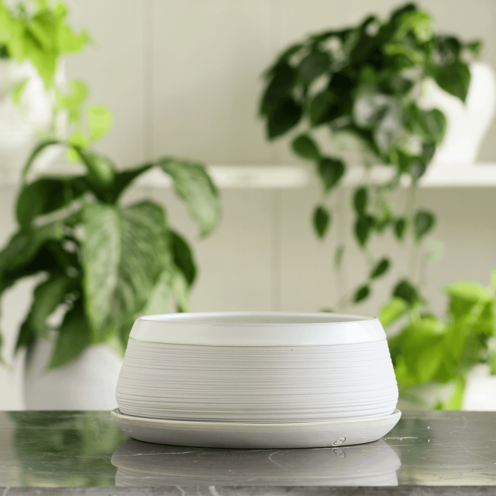 Porcelain Planter #3 - Connor McGinn Studios