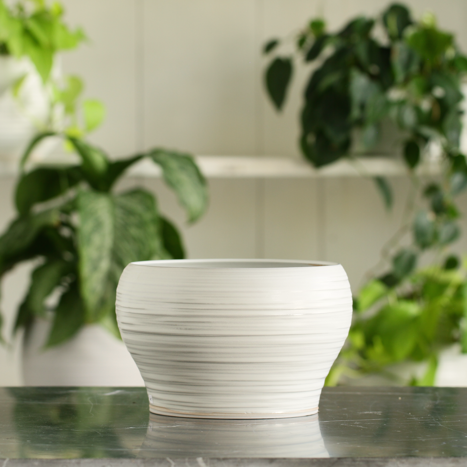 Porcelain Planter #5 - Connor McGinn Studios