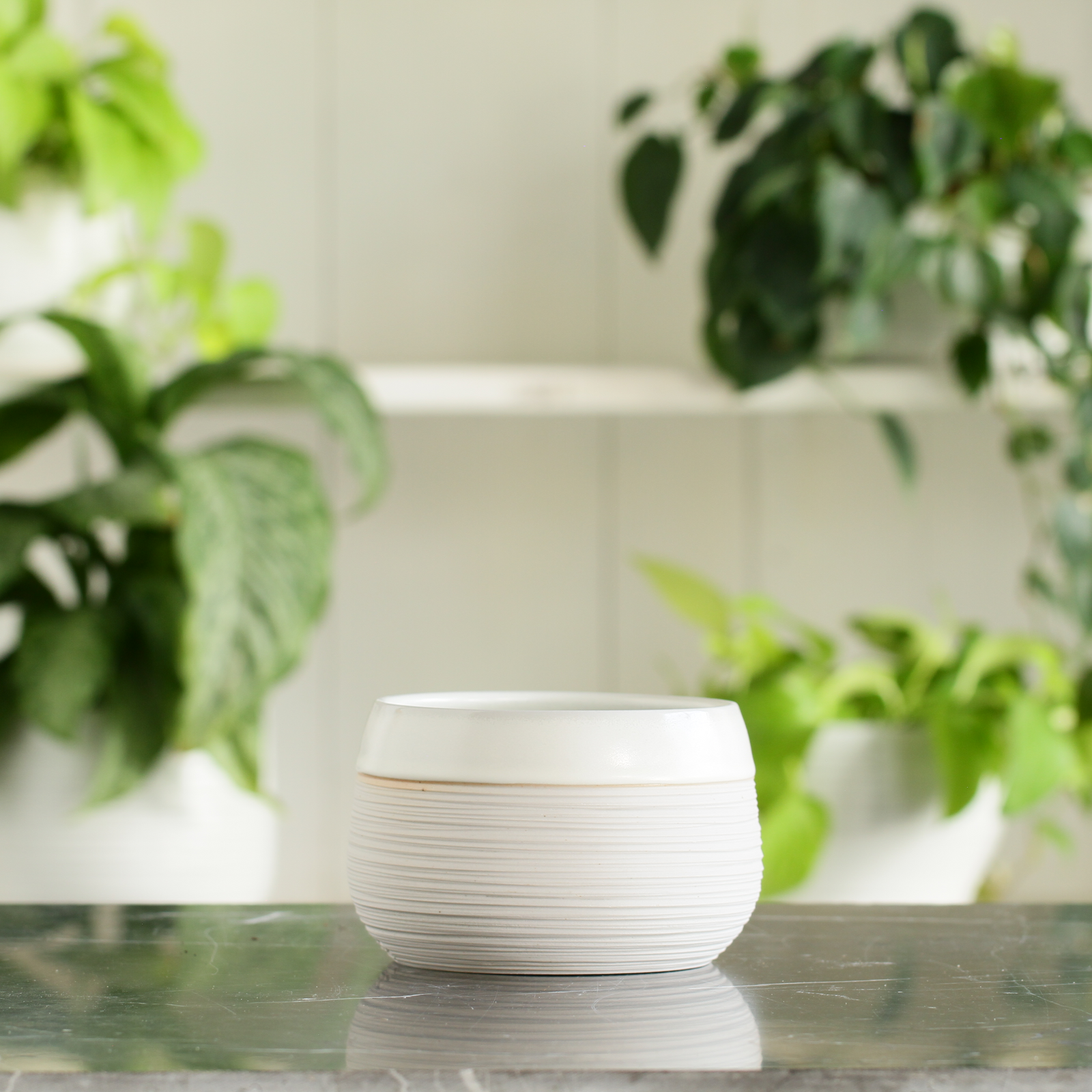 Porcelain Planter #10 - Connor McGinn Studios