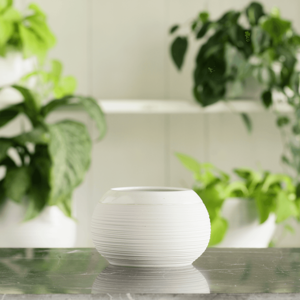 Porcelain Planter #9 - Connor McGinn Studios