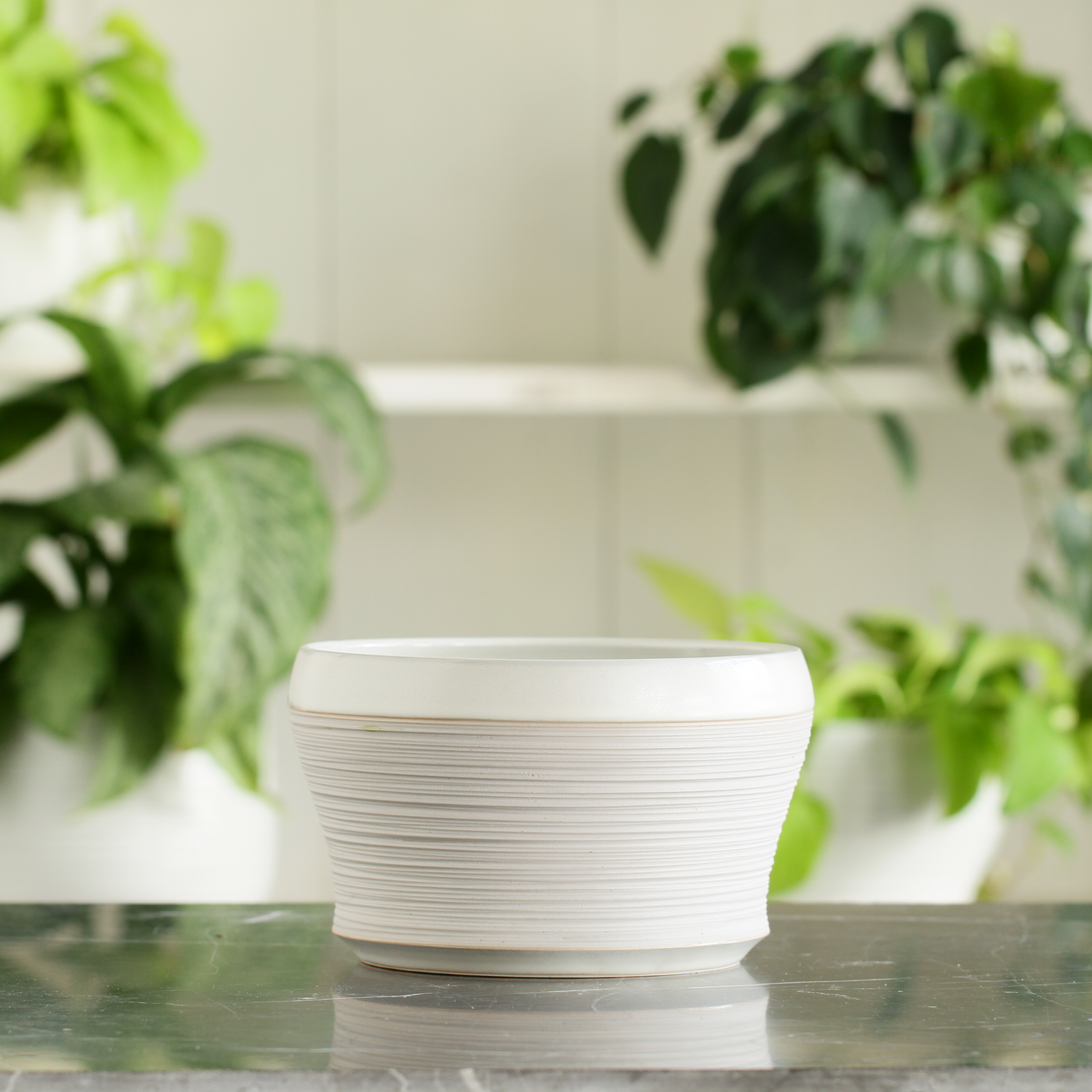 Porcelain Planter #11 - Connor McGinn Studios