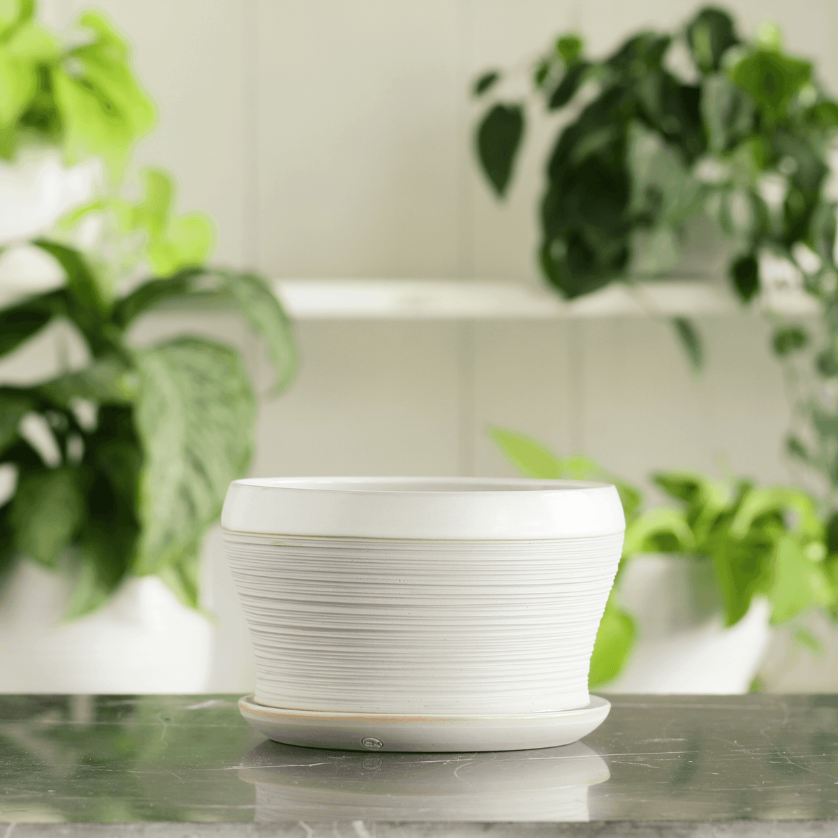 Porcelain Planter #11 - Connor McGinn Studios