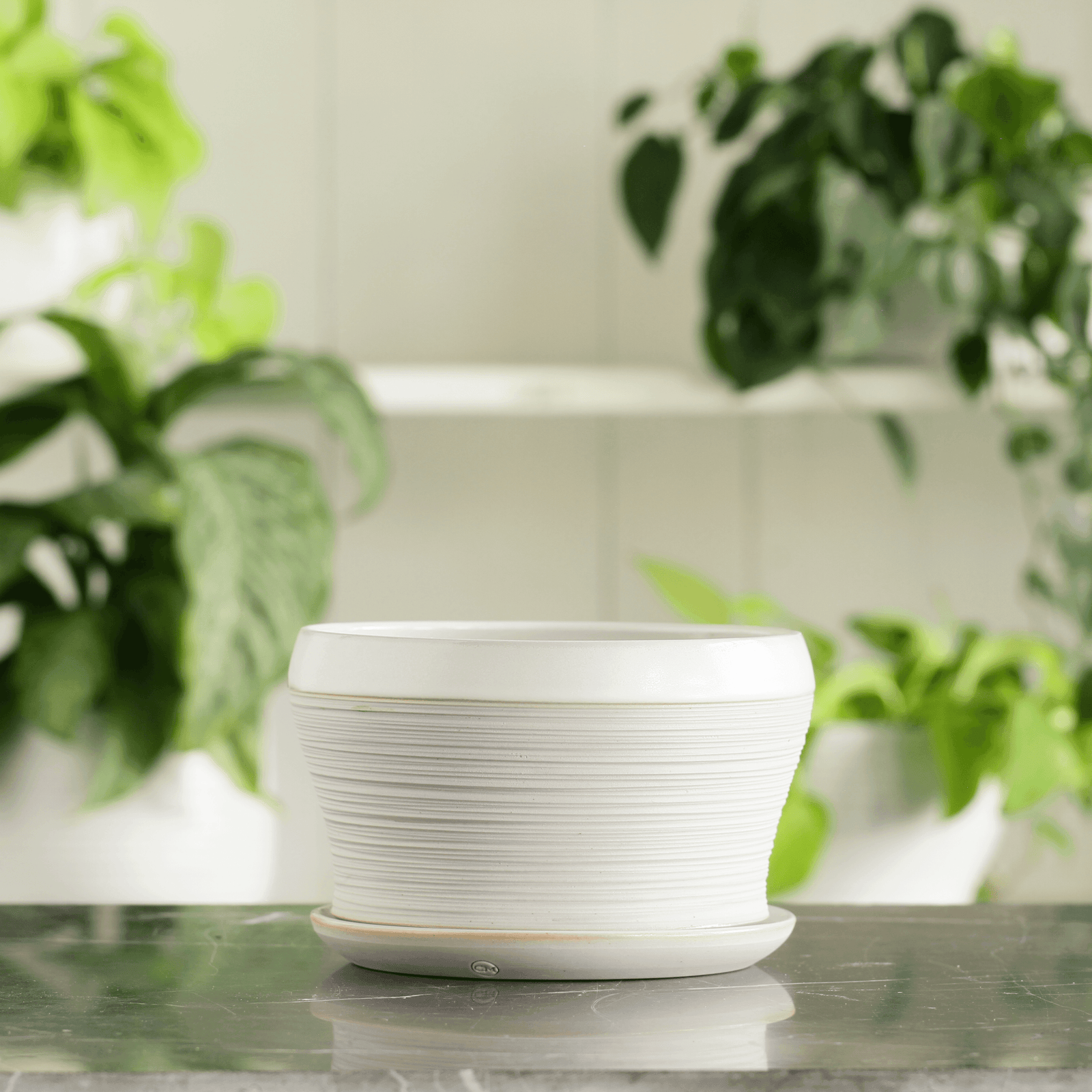 Porcelain Planter #11 - Connor McGinn Studios