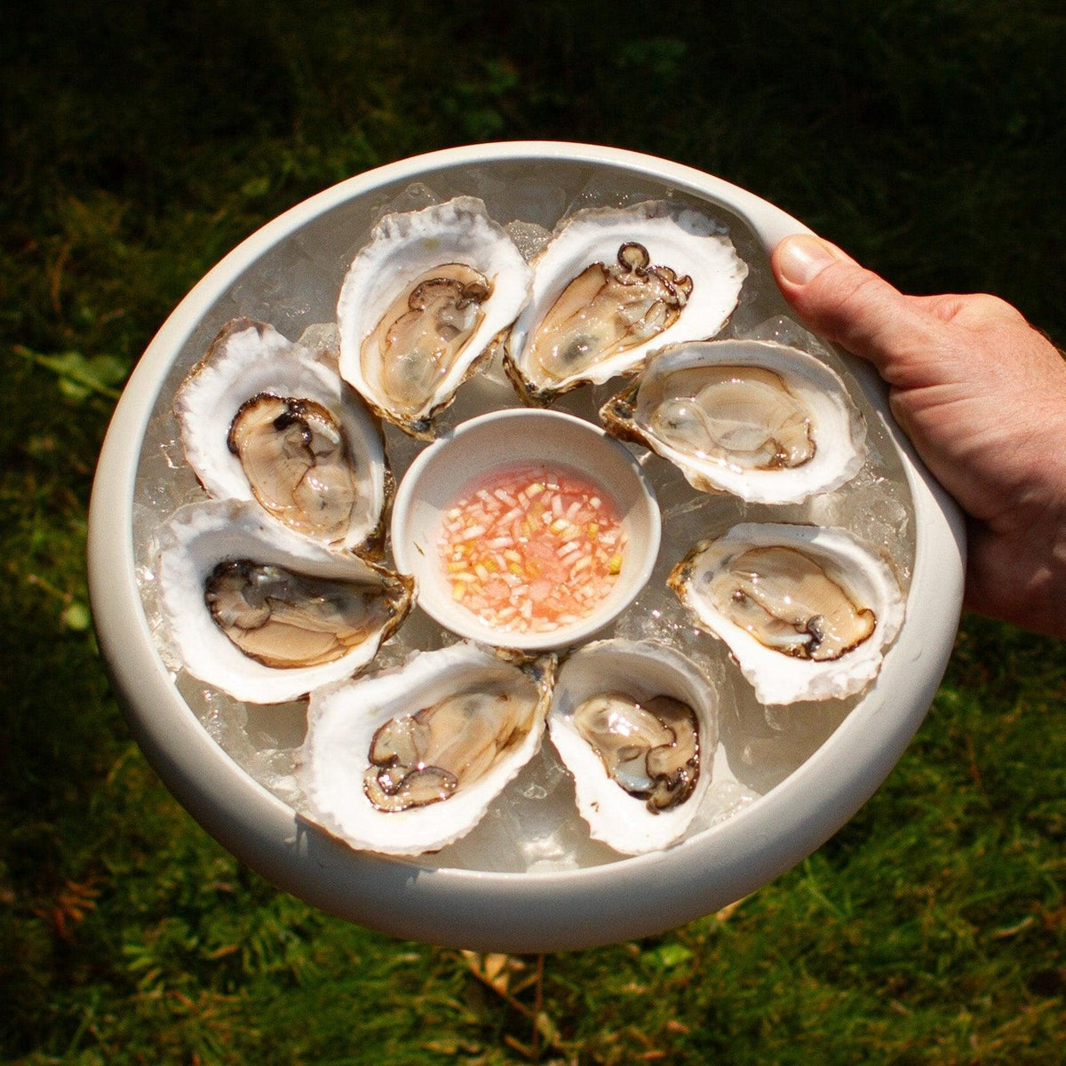 Lapfold Coupe - Connor McGinn Studios