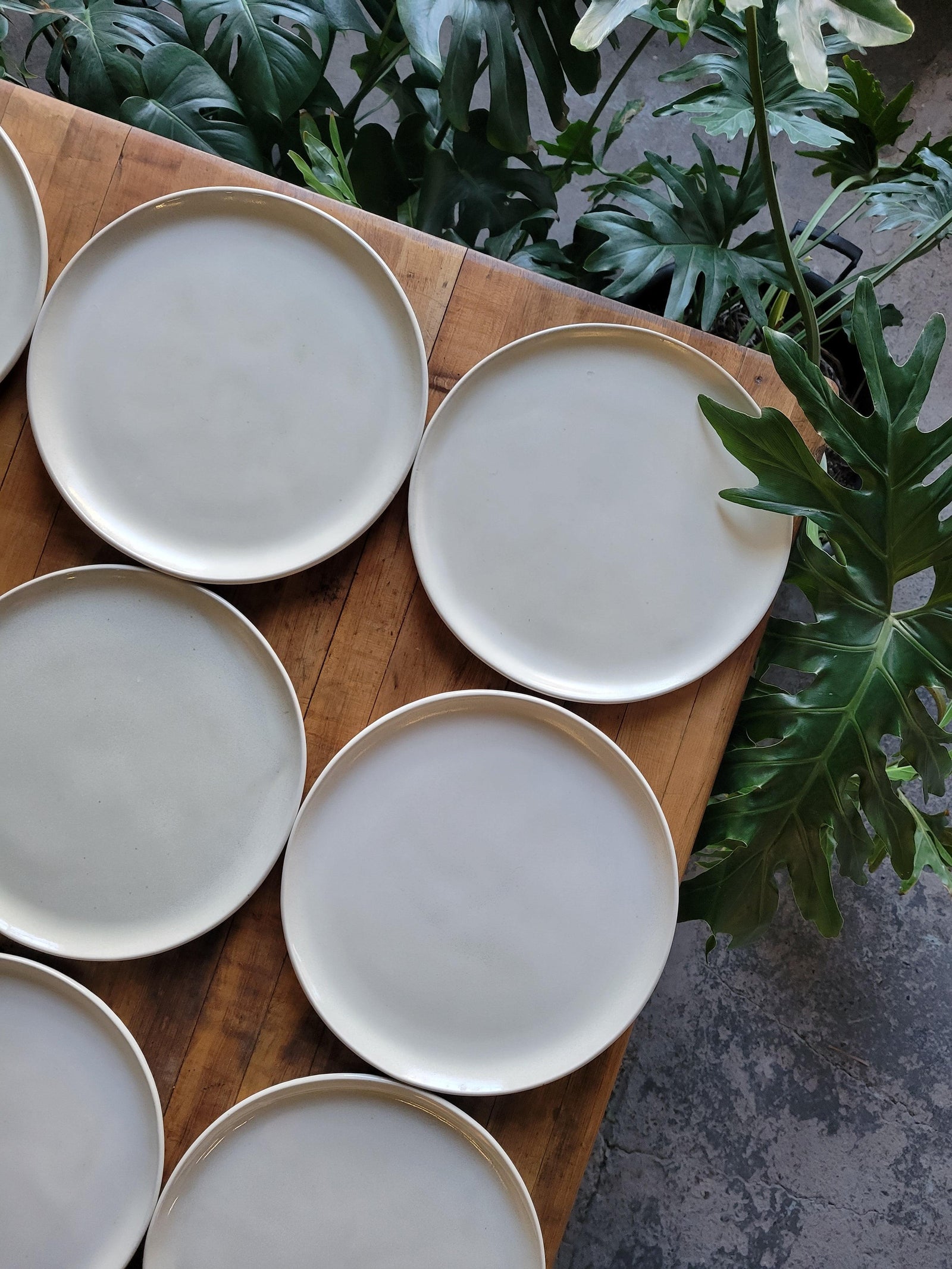 Entree Plate- Clean Edge - Connor McGinn Studios