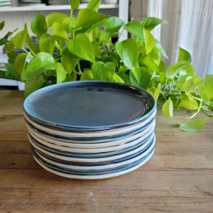 Clean Edge Lunch Plate (Overstock)