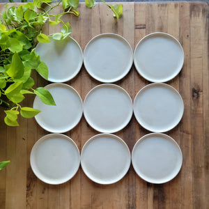 Clean Edge Lunch Plate (Overstock)