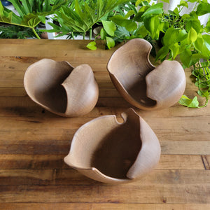 Large Concha Bowls