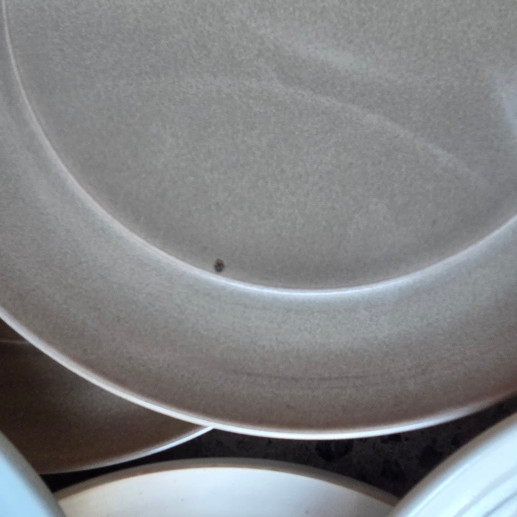 9" Frame Plates — Hospitality Overstock Set of 24 (Mix)