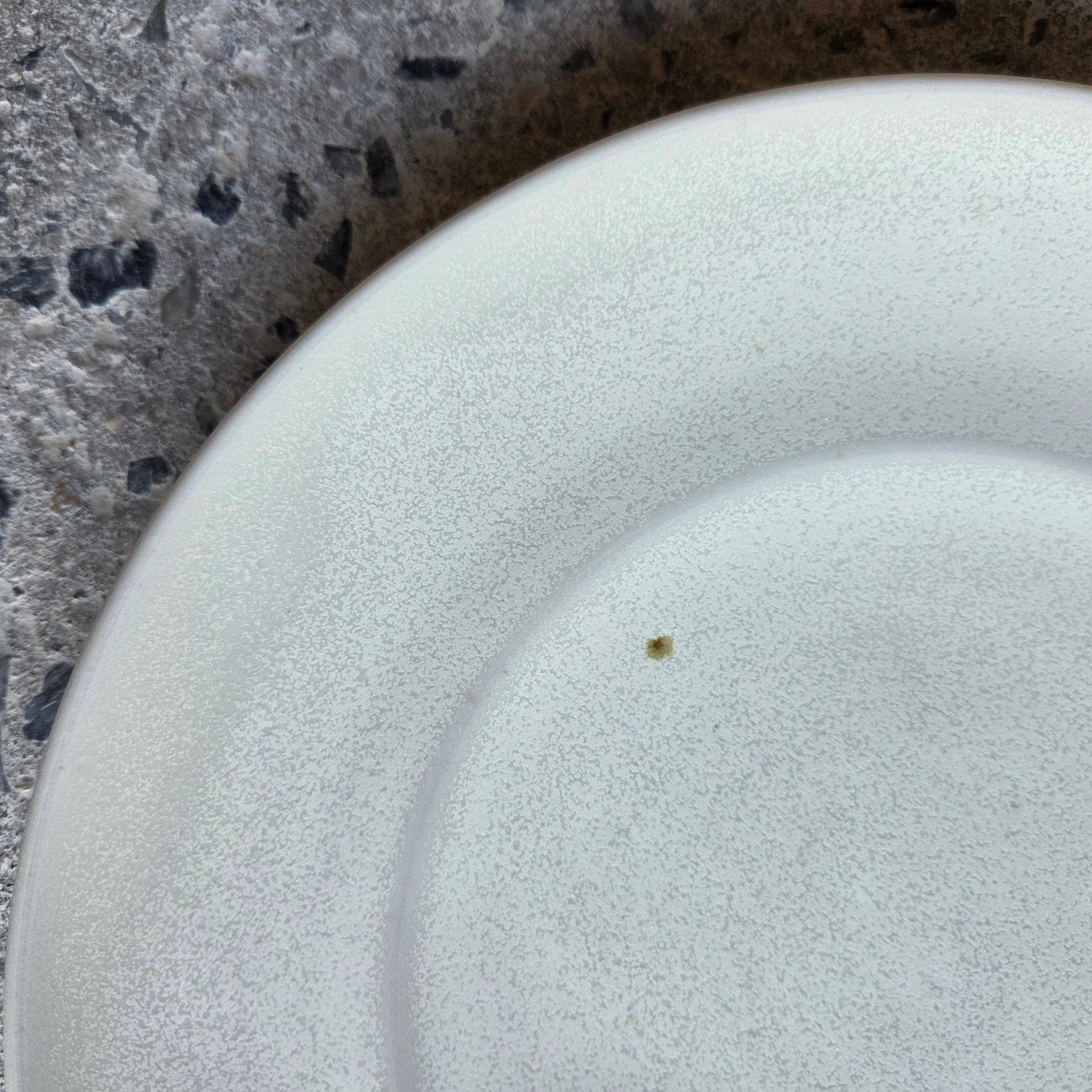 Quinn Plate — Hospitality Overstock Set of 17