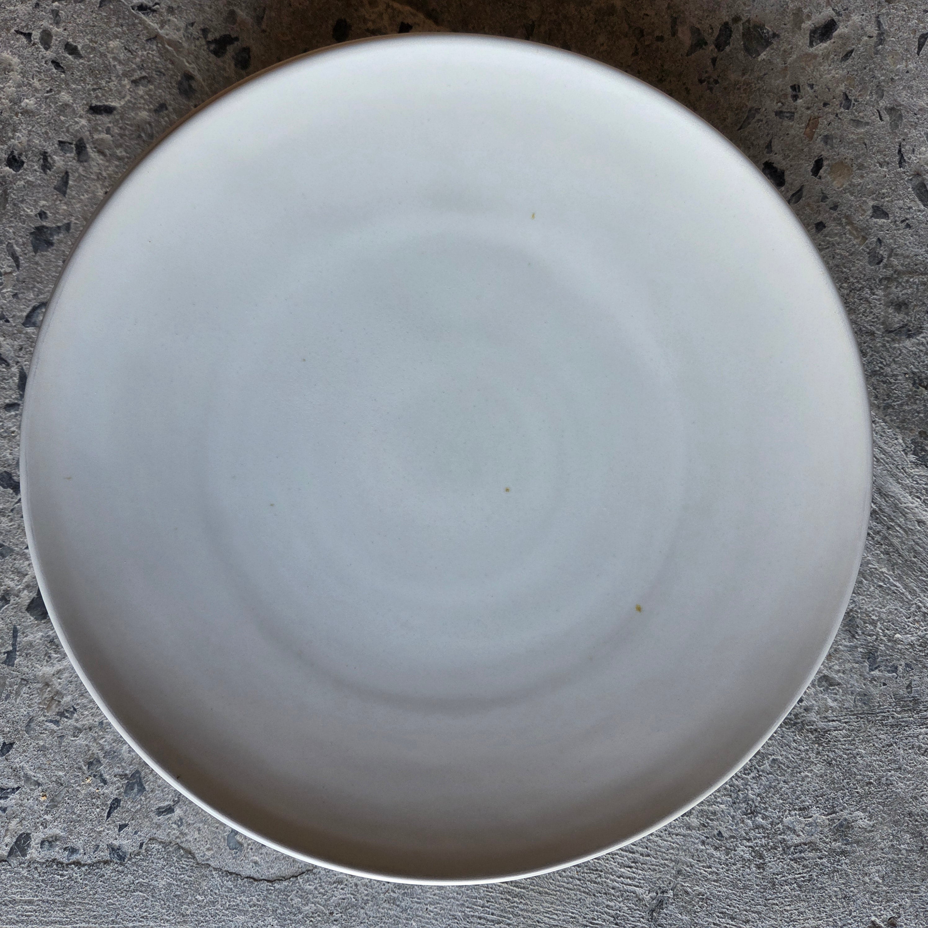 Contour Entree — Hospitality Overstock Set of 19