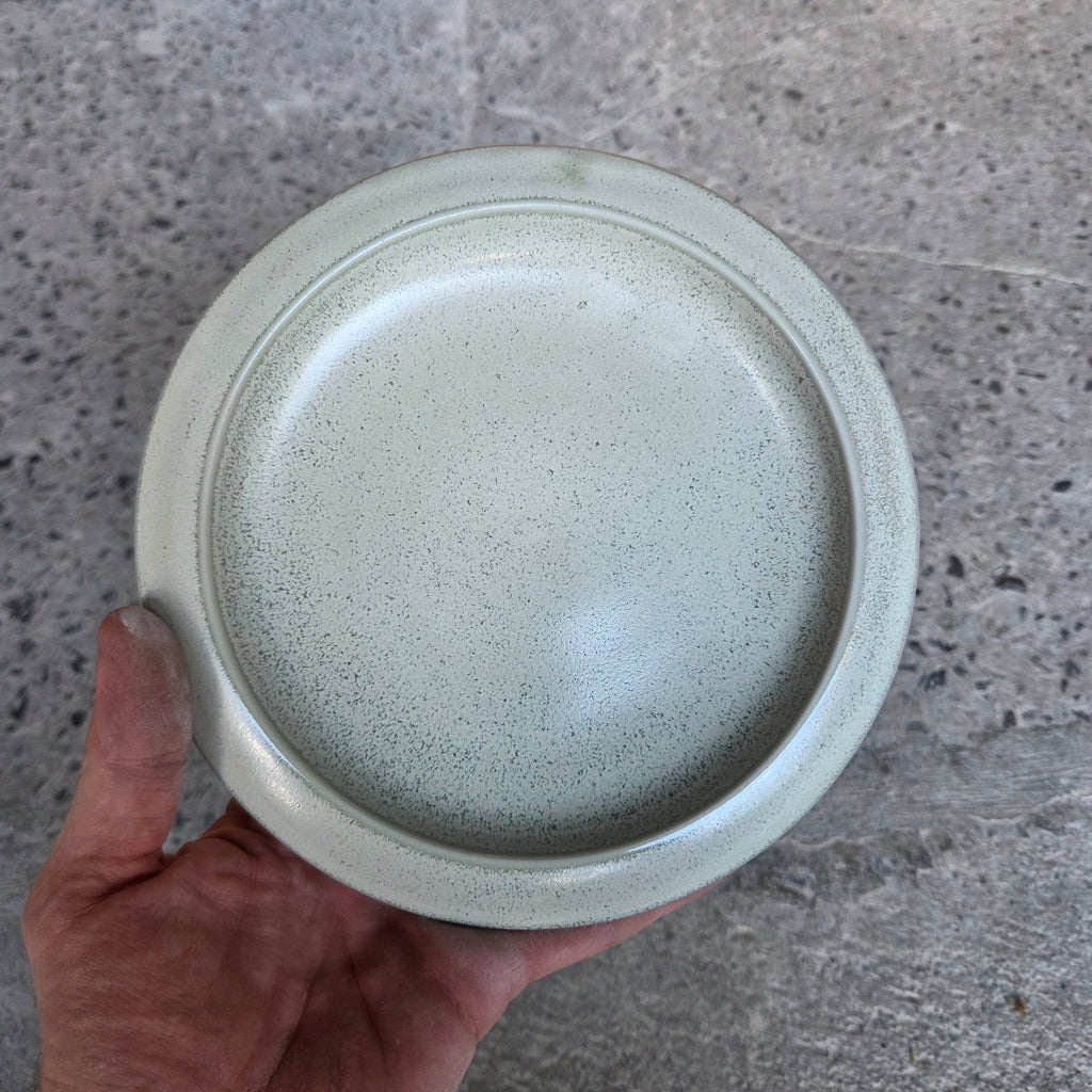UFO Plate — Hospitality Overstock Set of 10 (Lichen)