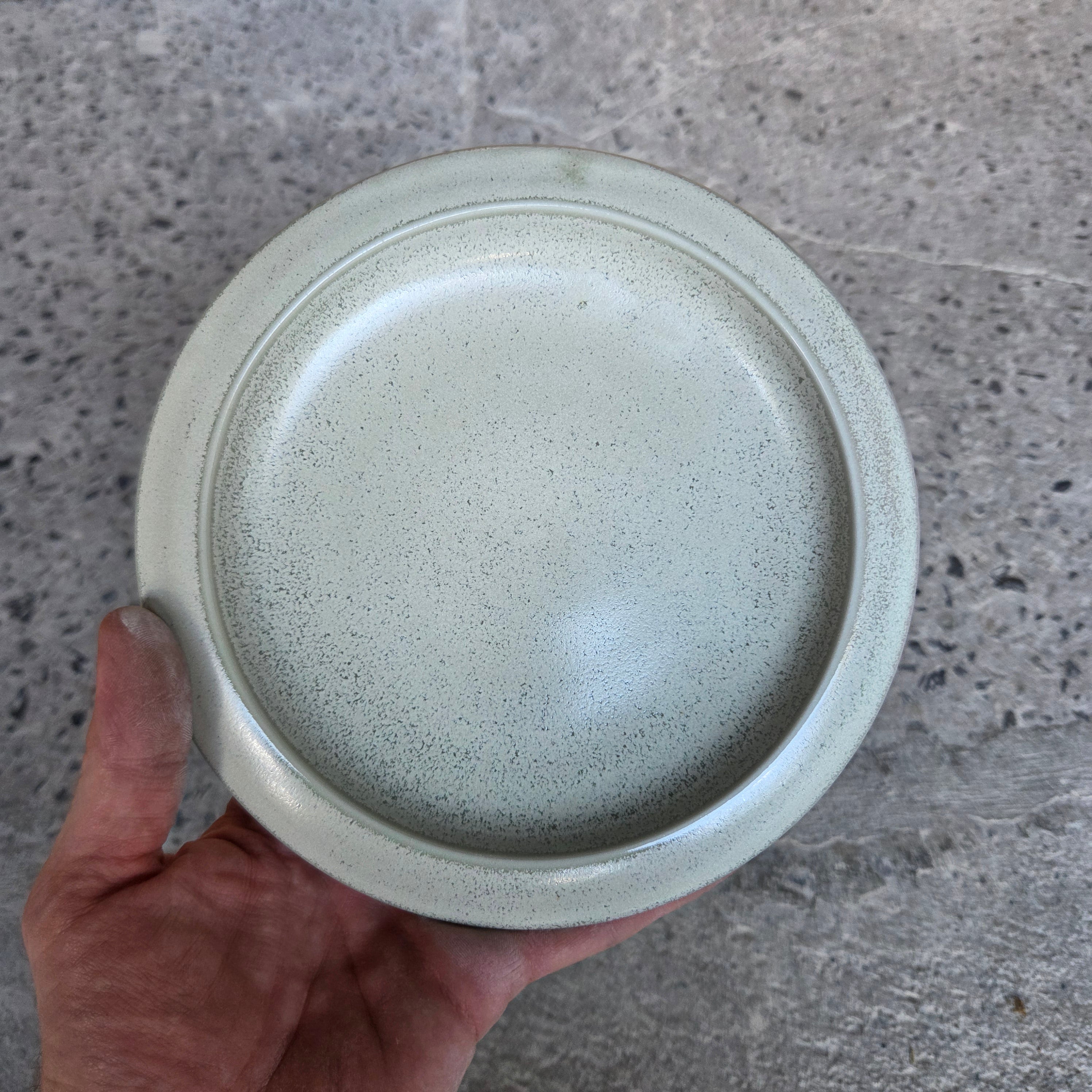 UFO Plate — Hospitality Overstock Set of 10 (Lichen)