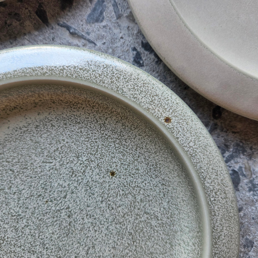 UFO Plate — Hospitality Overstock Set of 10 (Lichen)