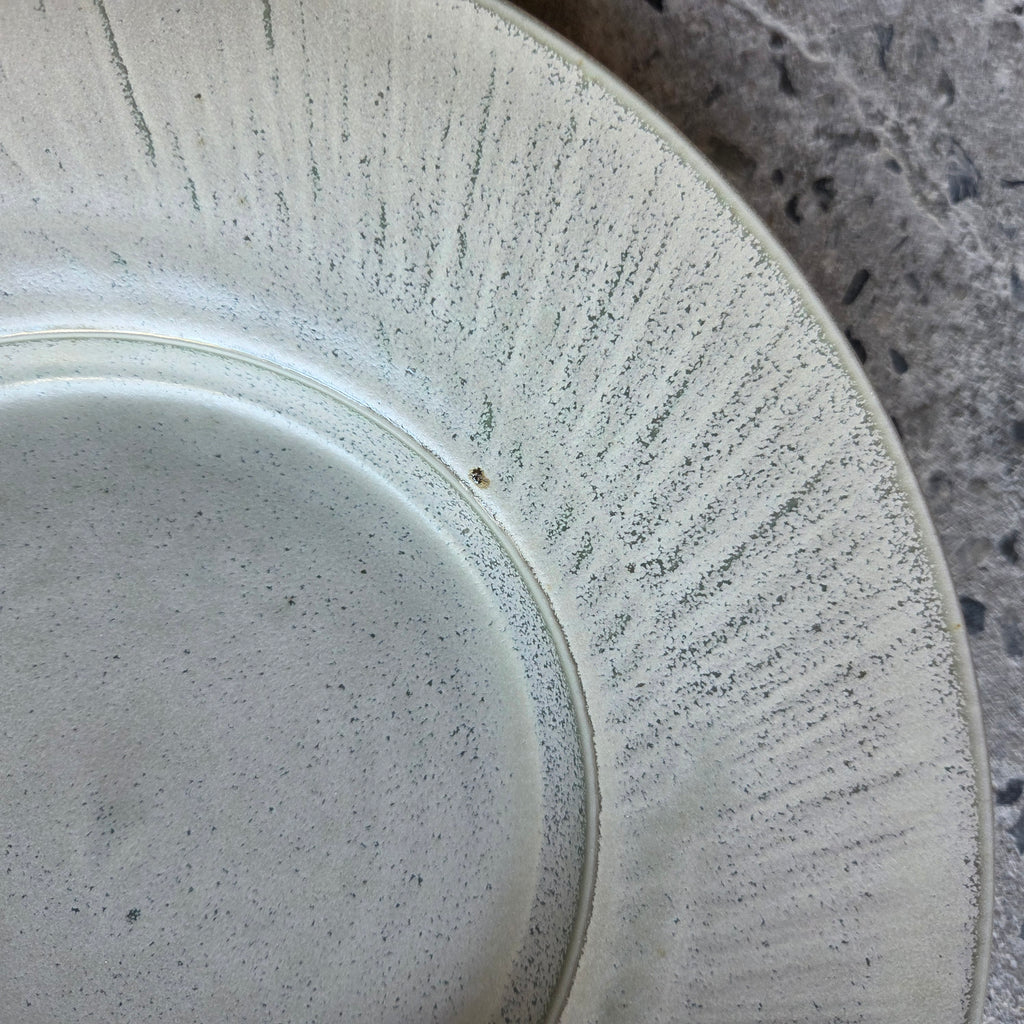 Wide Shallow Flare — Hospitality Overstock Set of 15 (Lichen)